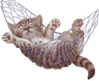 kattihangmatta.gif (36086 bytes)
